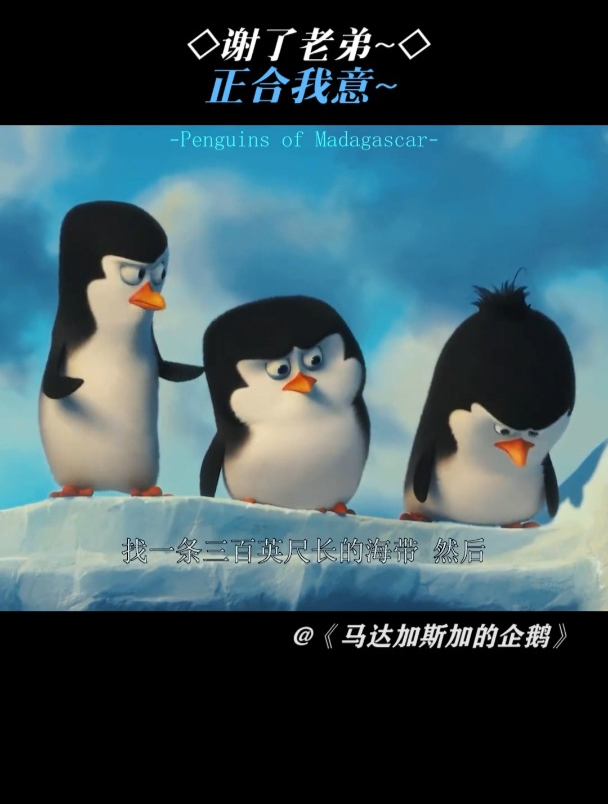 马达加斯加的企鹅:这不正合我意嘛~