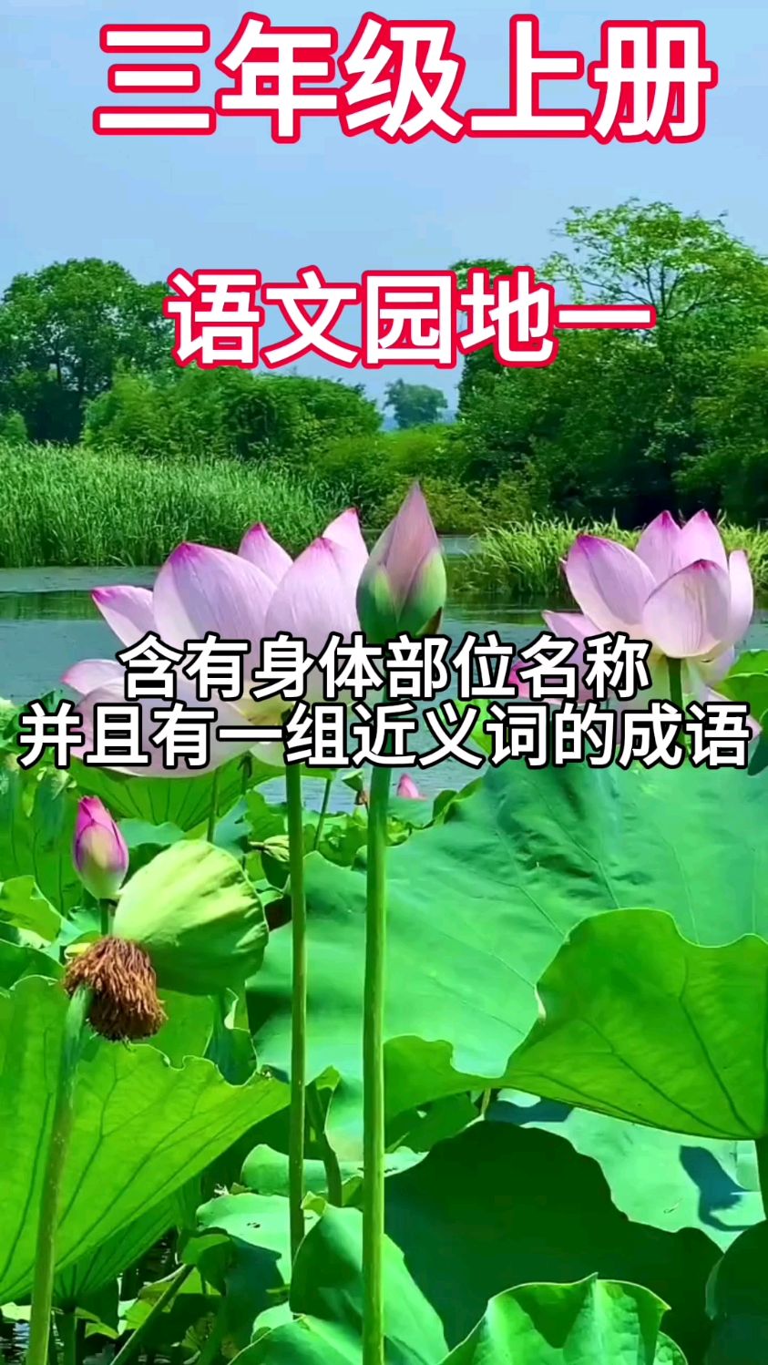 含有身体部位名称的成语好词好句积累暑假预习小学语文三年级