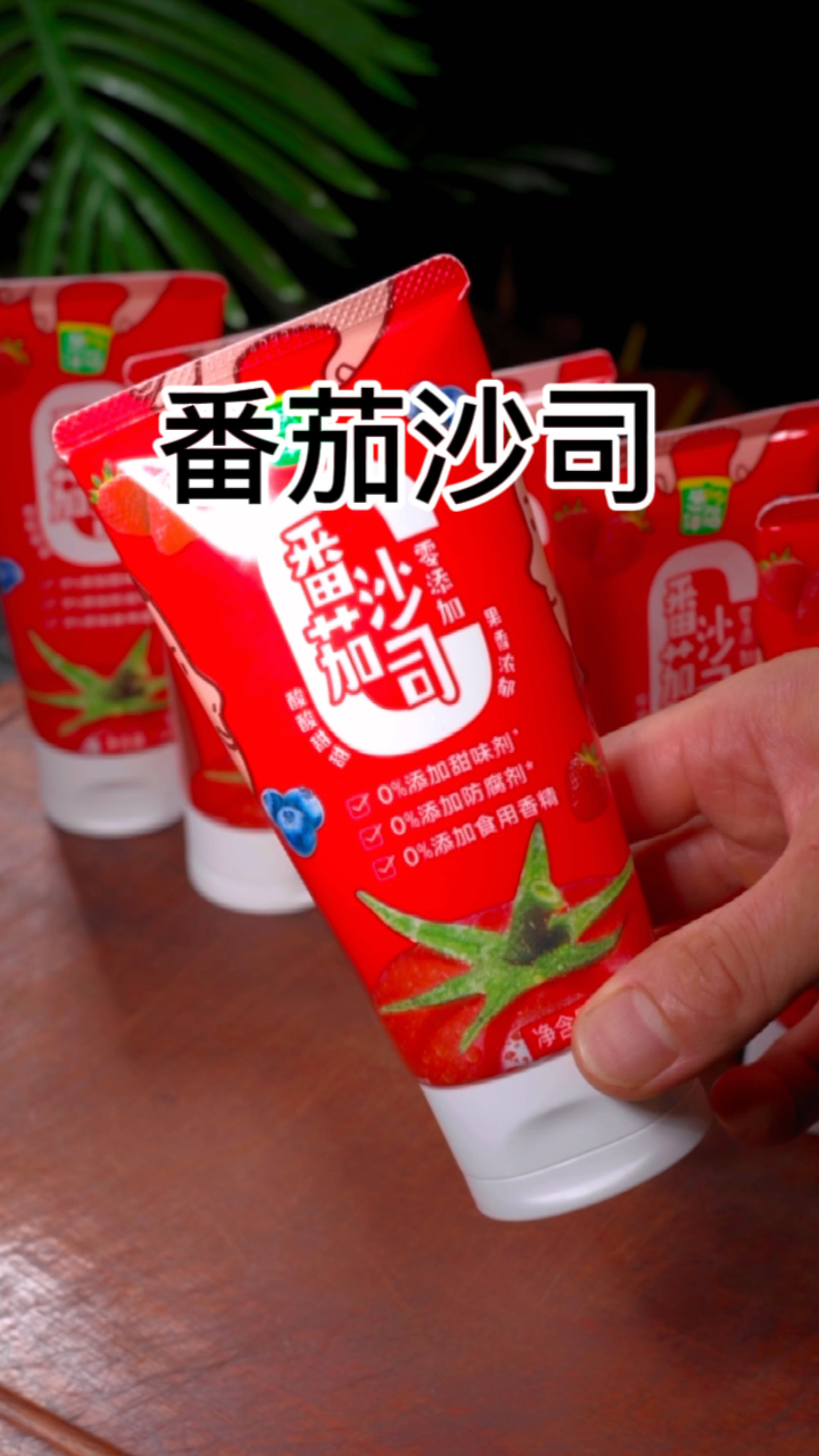 零添加葱伴侣番茄沙司