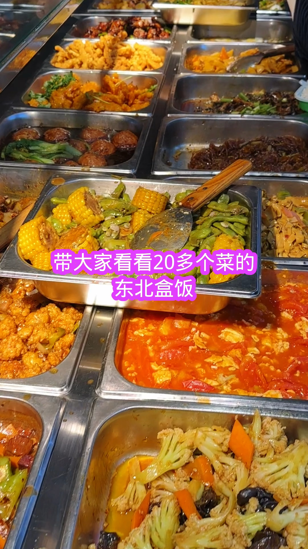 带大家看看20多个菜的东北盒饭