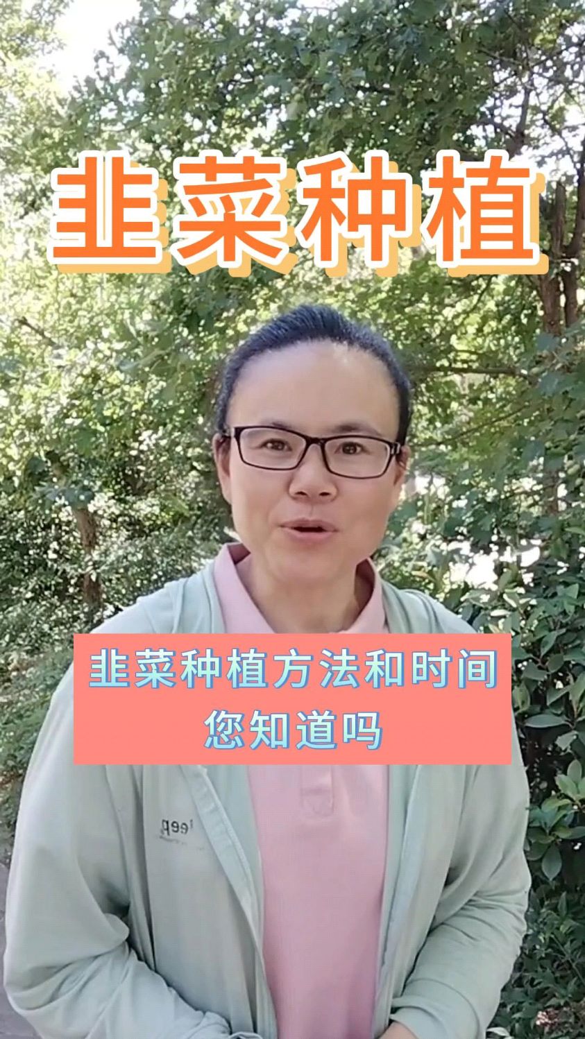 韭菜种植方法和时间您都知道么?#服务三农支持三农 #韭菜种植