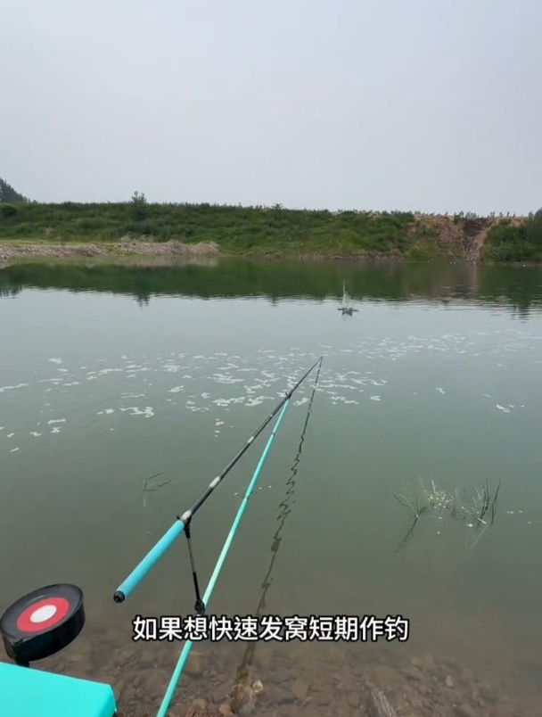 钓鱼如何小中取大?老钓友用“牛屎”打窝!