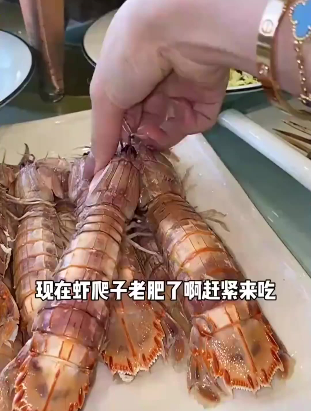 我摊牌了,大扇贝,肥虾爬子,芸豆包子!