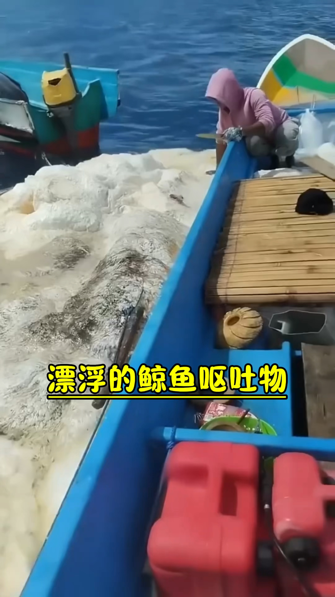 海面漂浮的鲸鱼排泄物