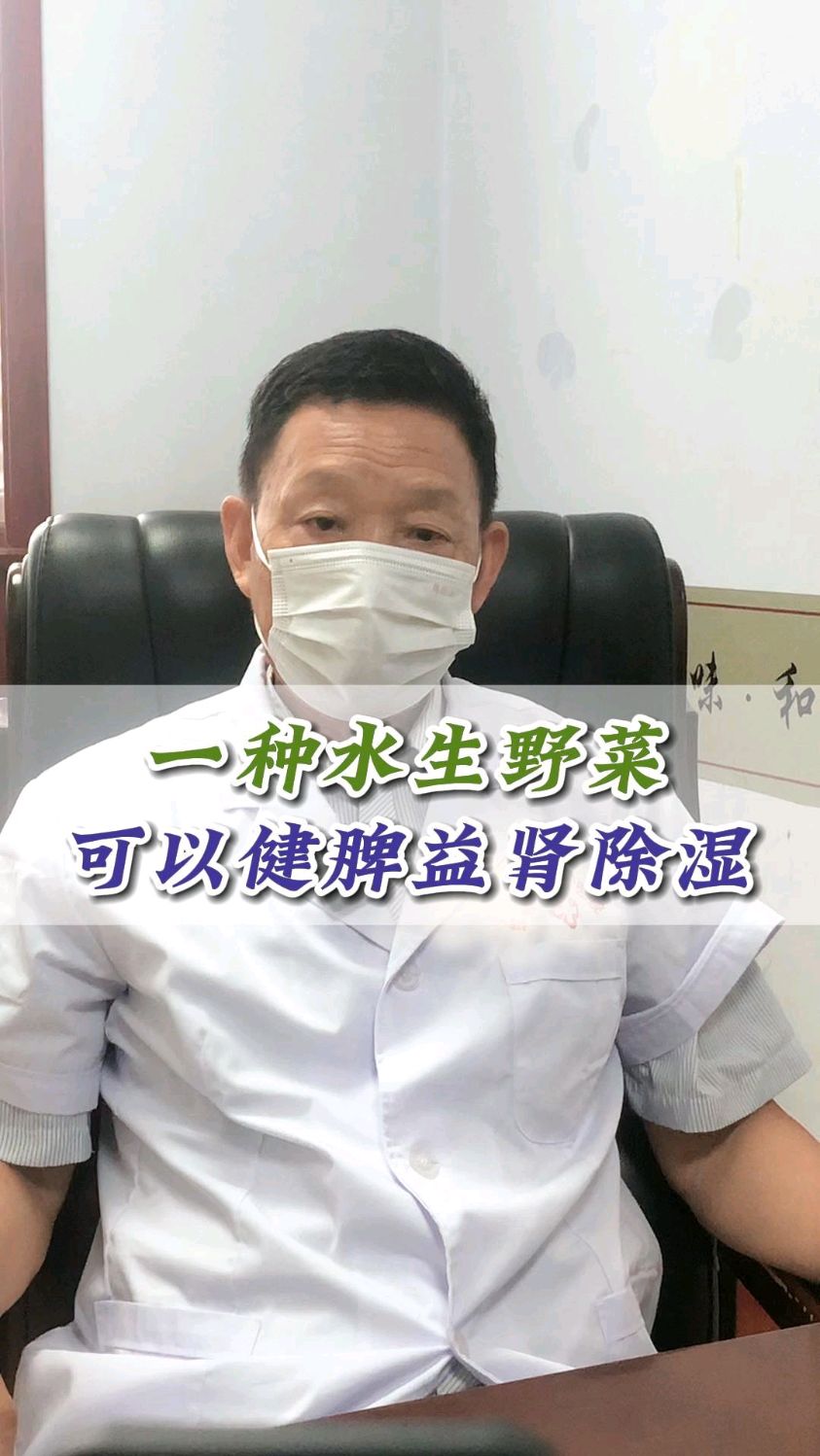水生野菜能健脾益肾除湿_野菜_健脾益肾_中医_邯郸燕赵中医传承