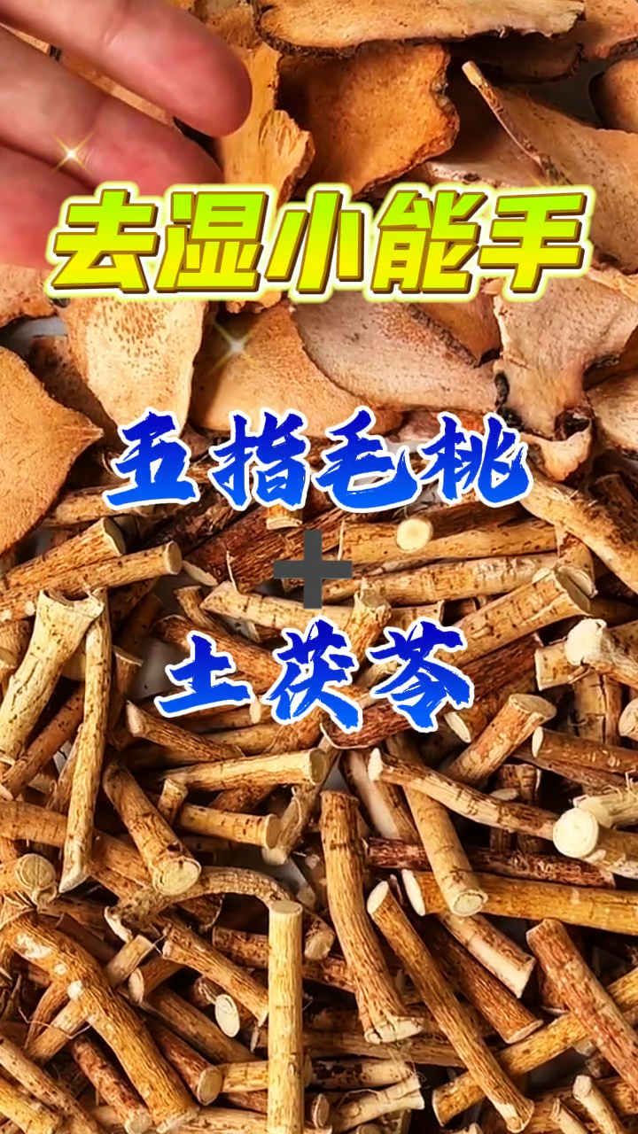 五指毛桃加土茯苓煮水喝,湿气太重了就喝它。