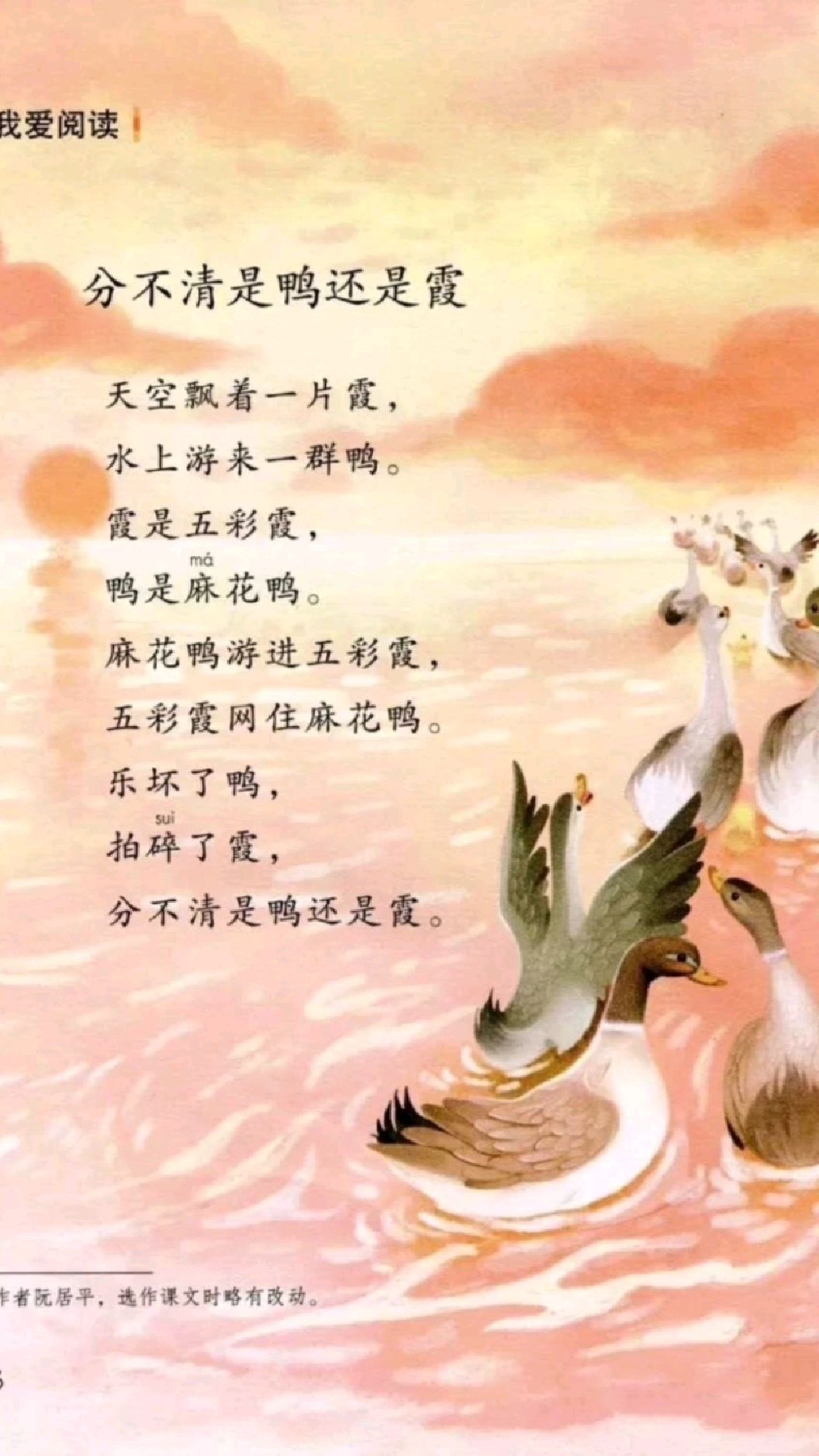 儿童绕口令《分不清是鸭还是霞》