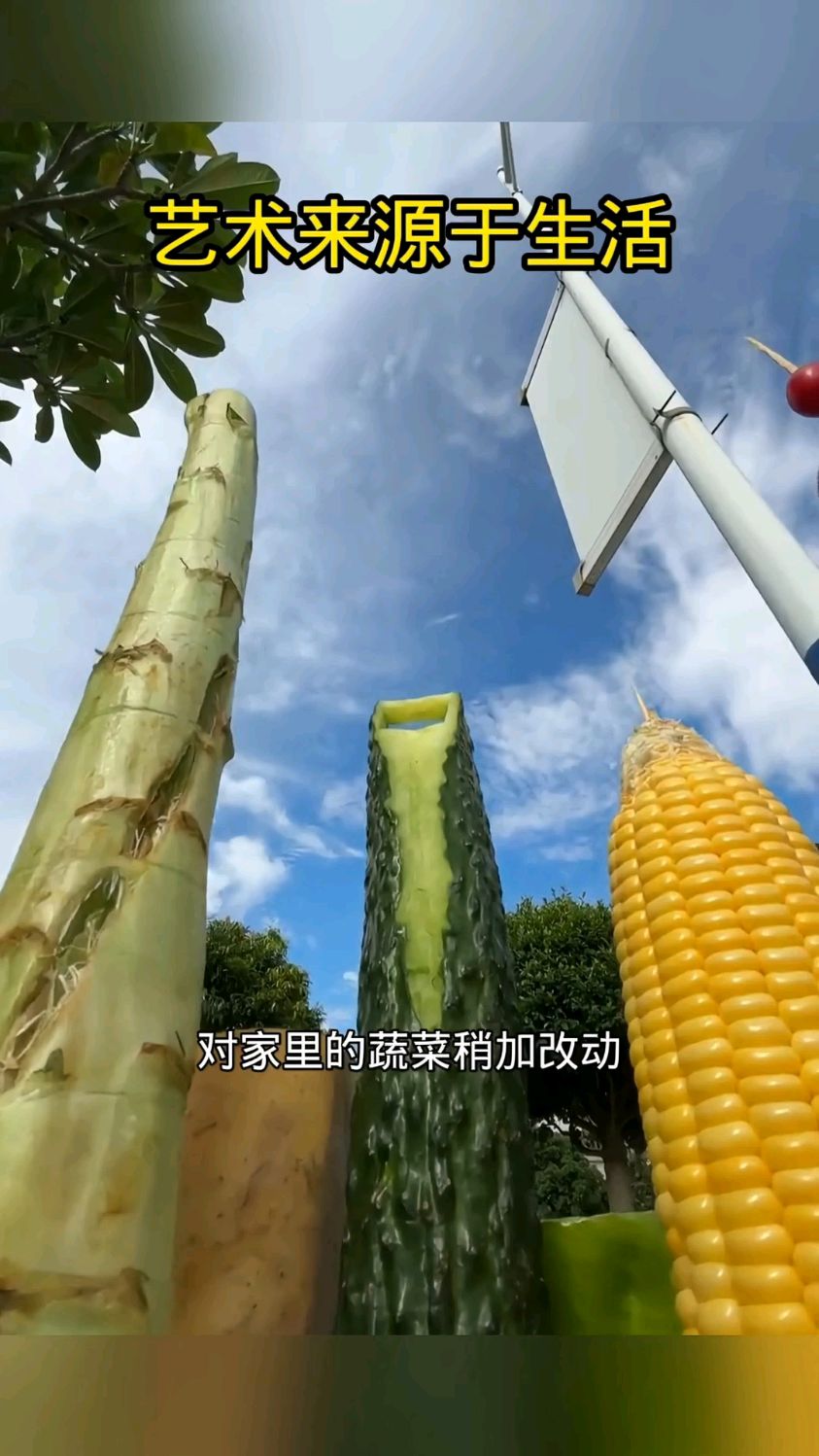 蔬菜做的造型,果然艺术来源于生活