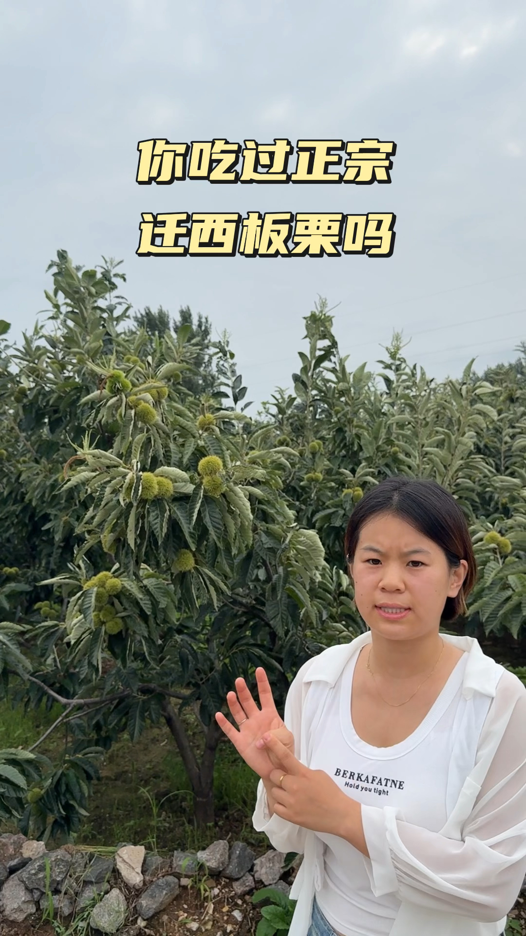 你们想吃到正宗的迁西板栗吗,吃板栗找小惠,农户自产自销