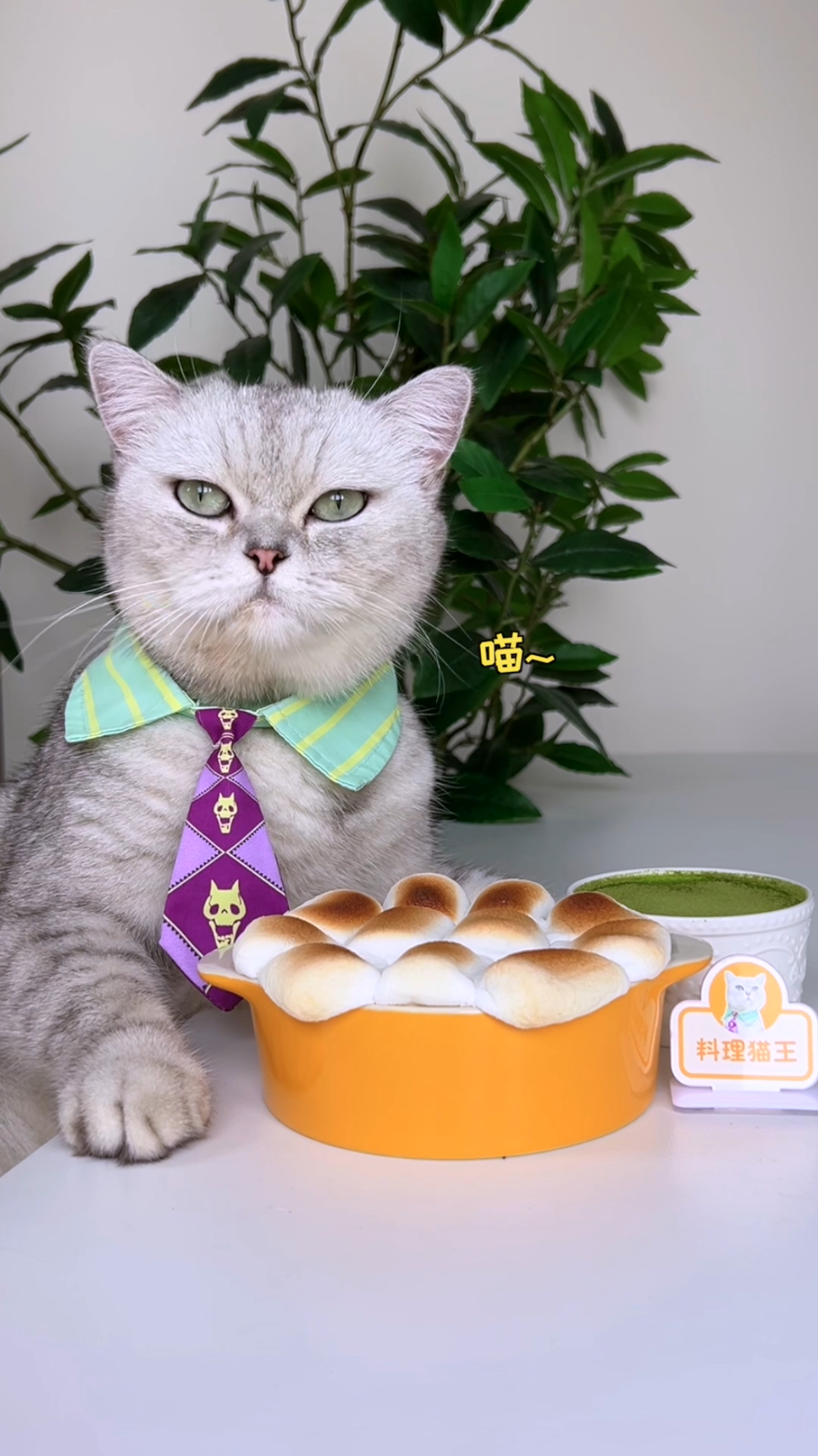 猫王:奥利奥搅一搅,加上棉花糖就能做出松软拉丝的蛋糕