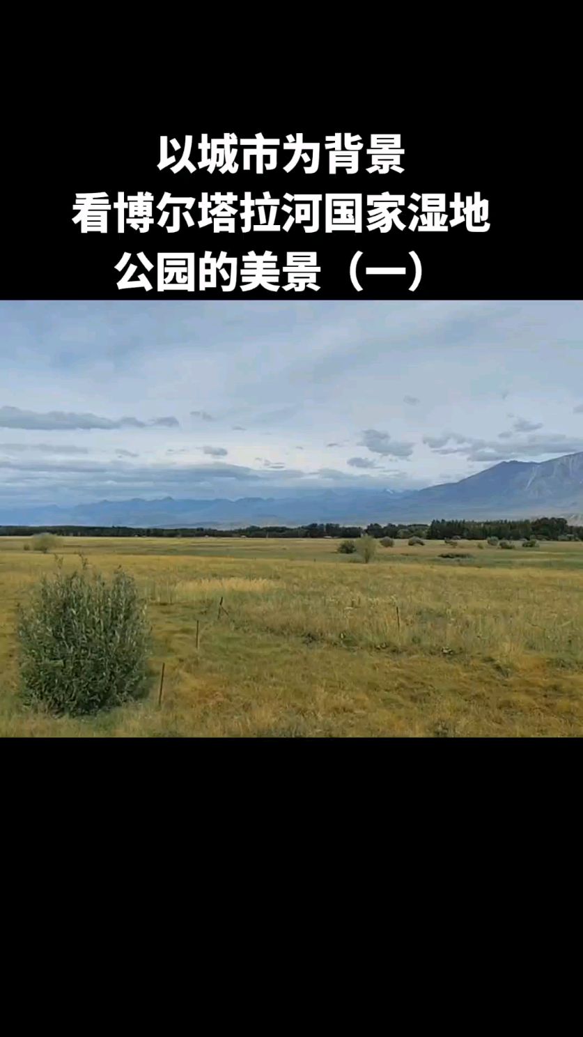 自驾新疆,在博尔塔拉蒙古自治州温泉县露营