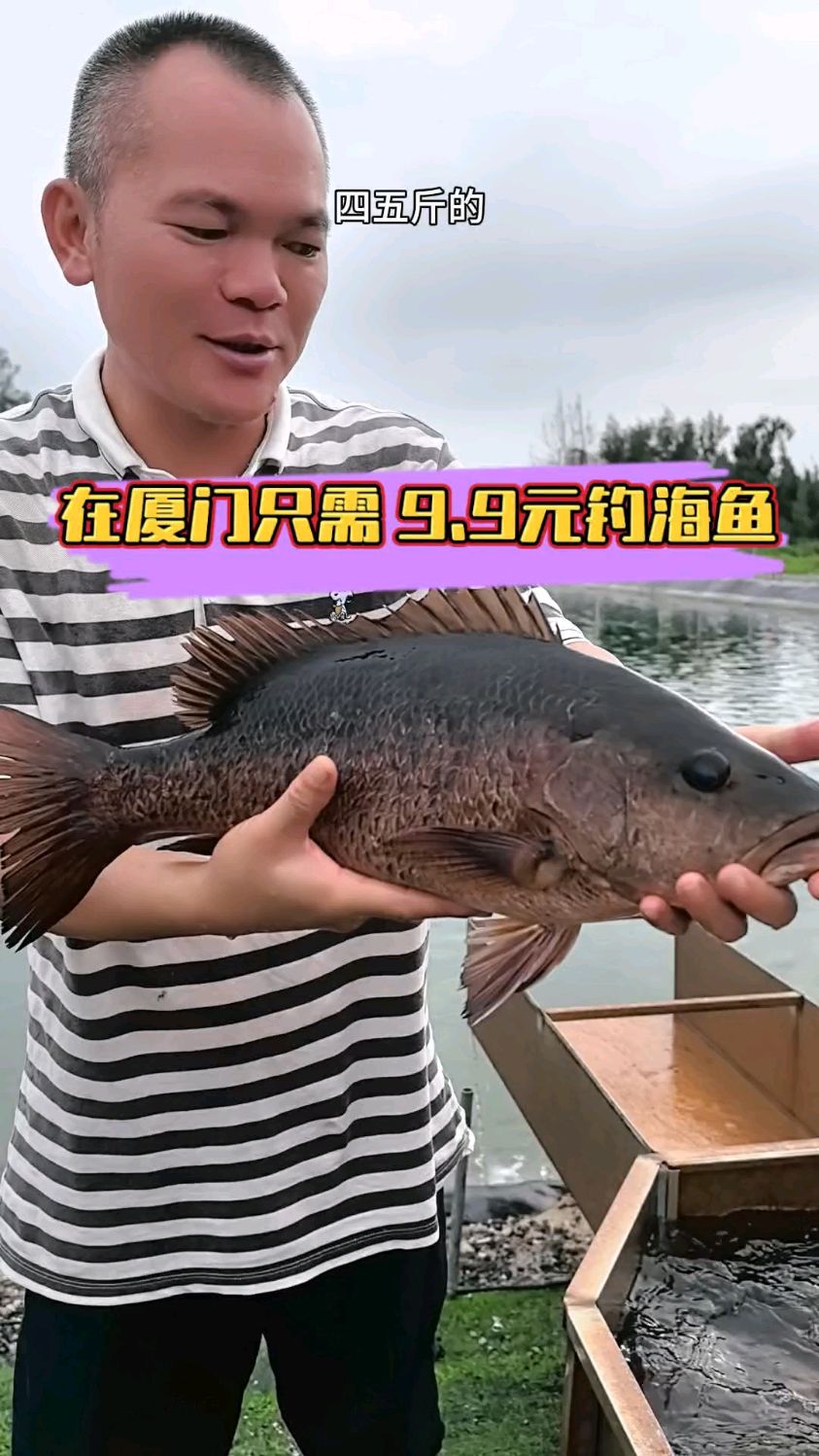 《厦门海钓奇迹!9.9 元不限时,钓多少拿多少》