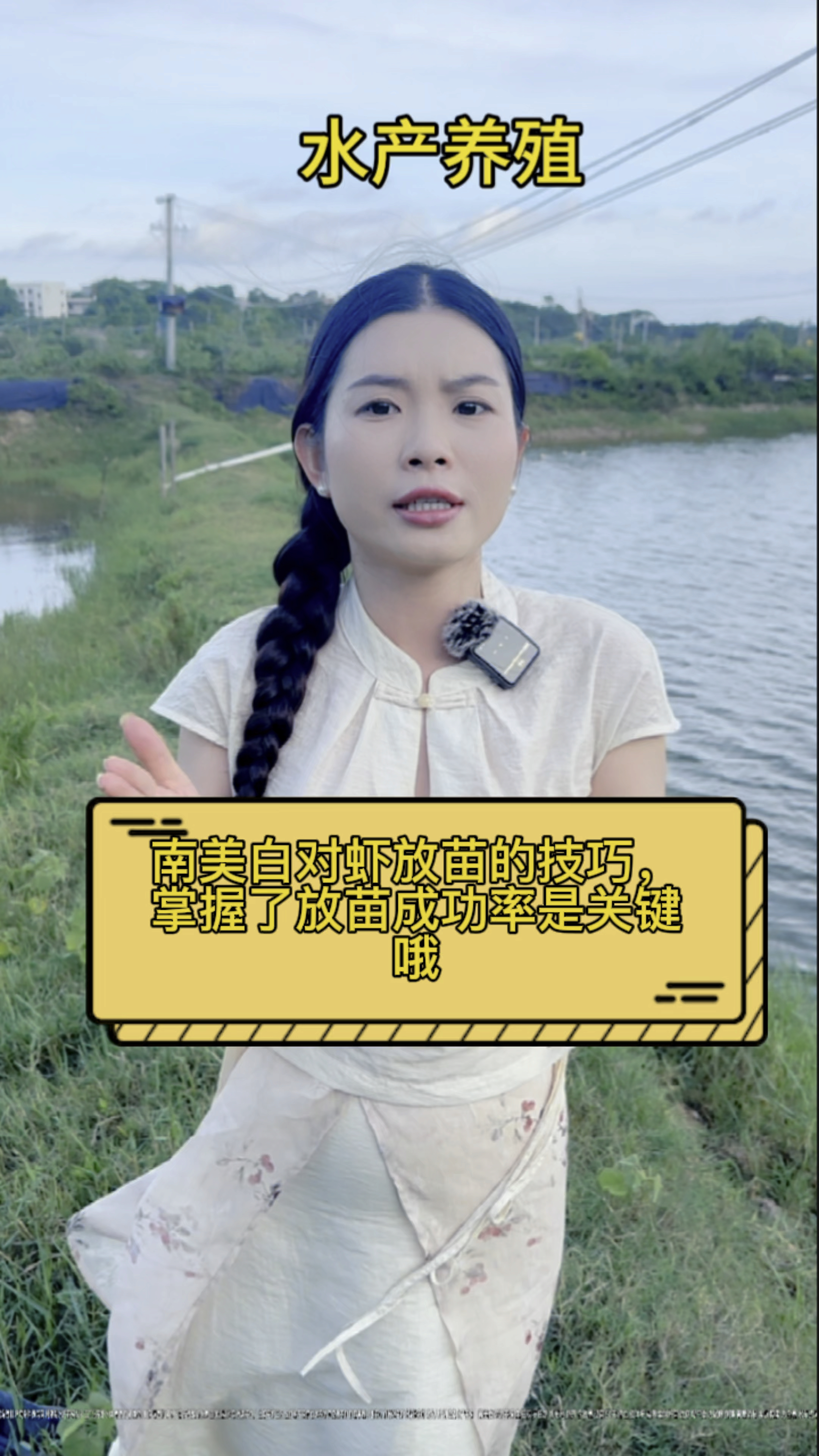 @南美白对虾放苗的技巧,掌握了放苗成功率是关键哦#罗氏虾养殖