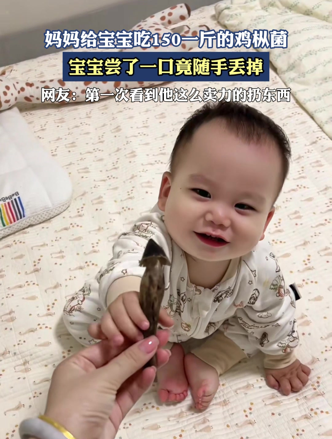 妈妈给宝宝吃150一斤的鸡枞菌,宝宝尝了一口竟随手丢掉