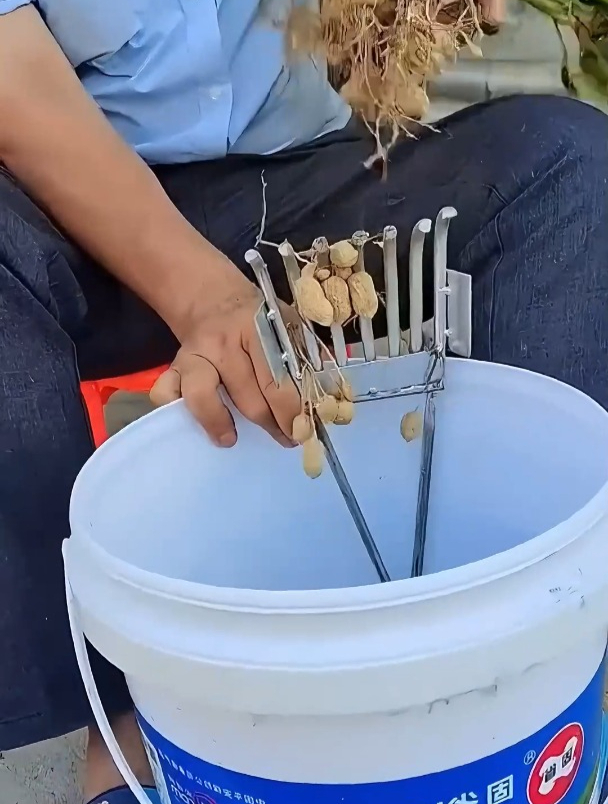 以后摘花生毛豆就用这摘花生神器,有了它二亩地的花生一下午摘完