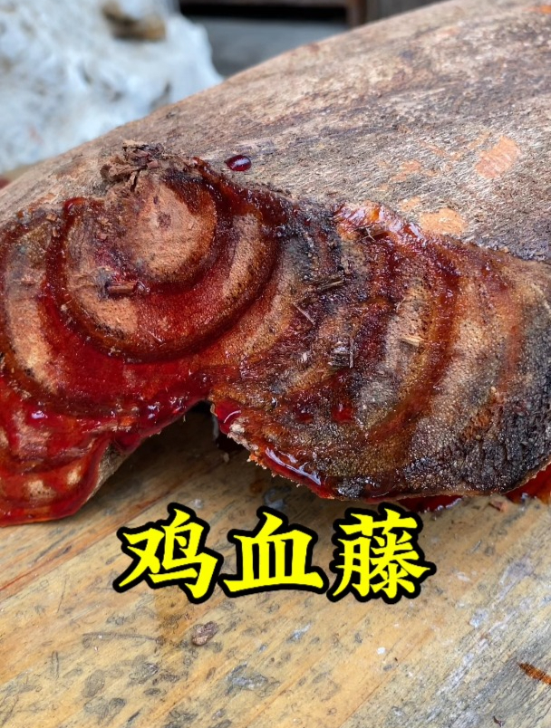 广西深山采挖的鸡血藤老藤,看看你喜欢吗?