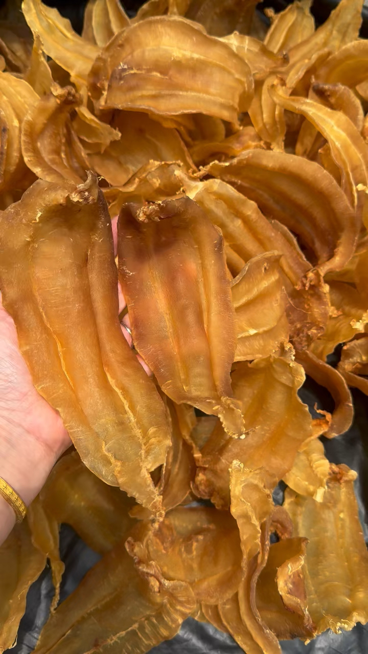 13头土鳘公。大家知道土鳘赤嘴鱼胶以大补气血闻名,对补气血