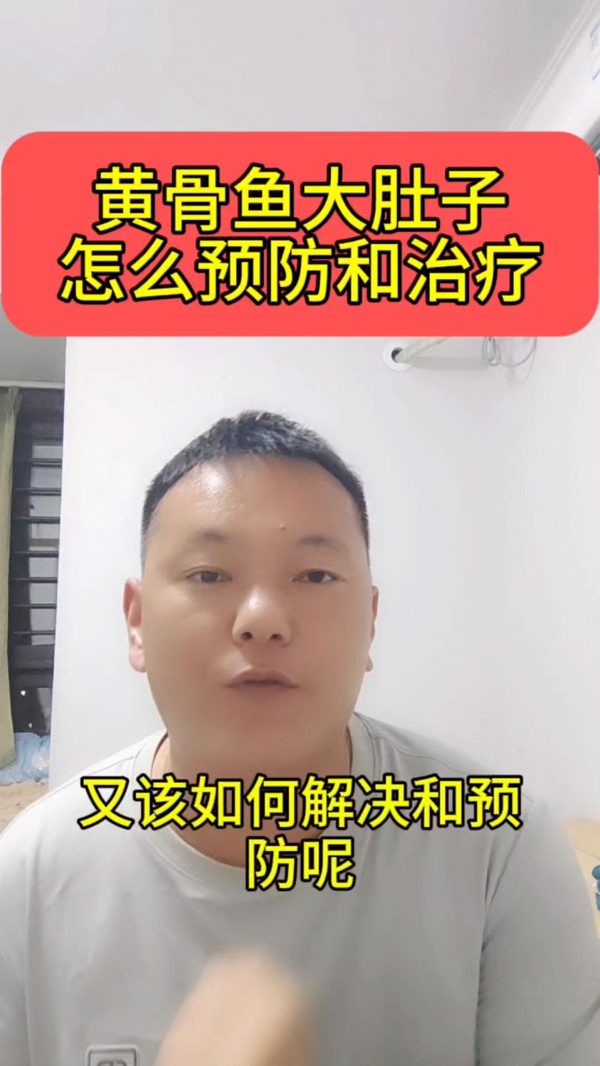 黄骨鱼大肚子怎么预防和治疗?