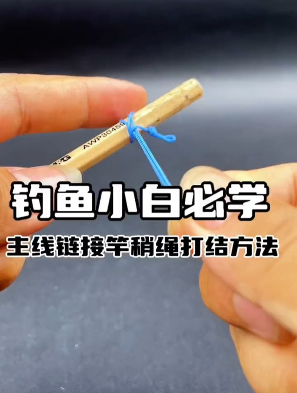 钓鱼小白必学的主线连接竿稍绳打结方法!