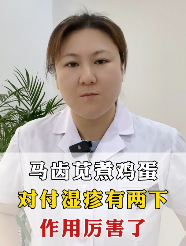 马齿苋煮鸡蛋,对付湿疹有两下,作用厉害了