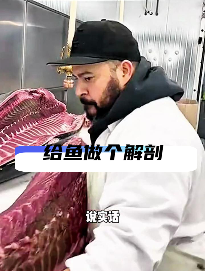 给鱼做个解剖,工作量太大