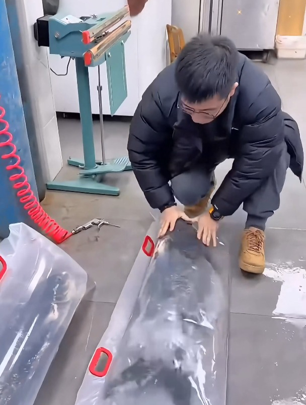 生鲜大活鱼打包,竟然是这样的,真是惊讶到我了!