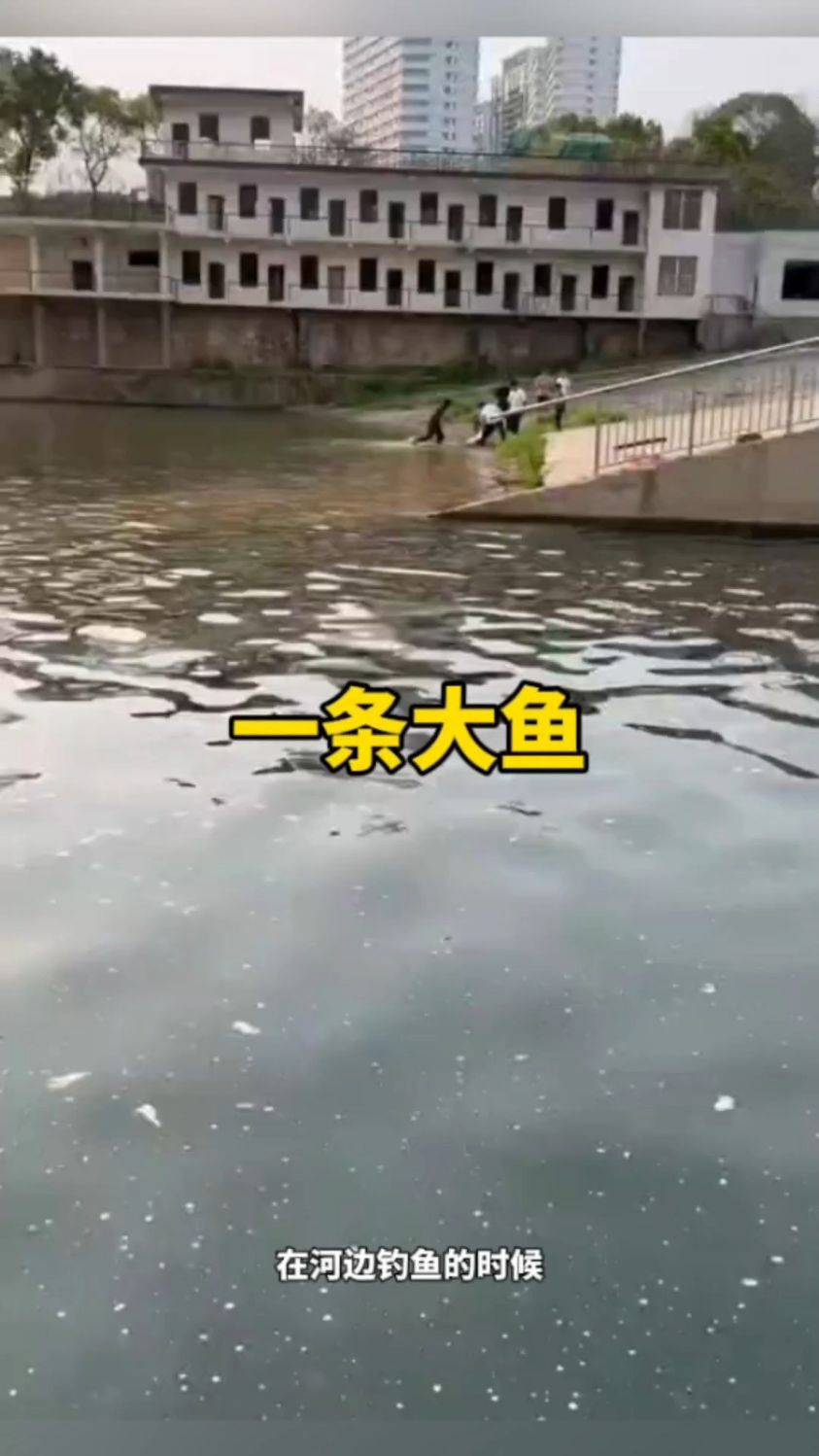 在河边钓到一条大鱼