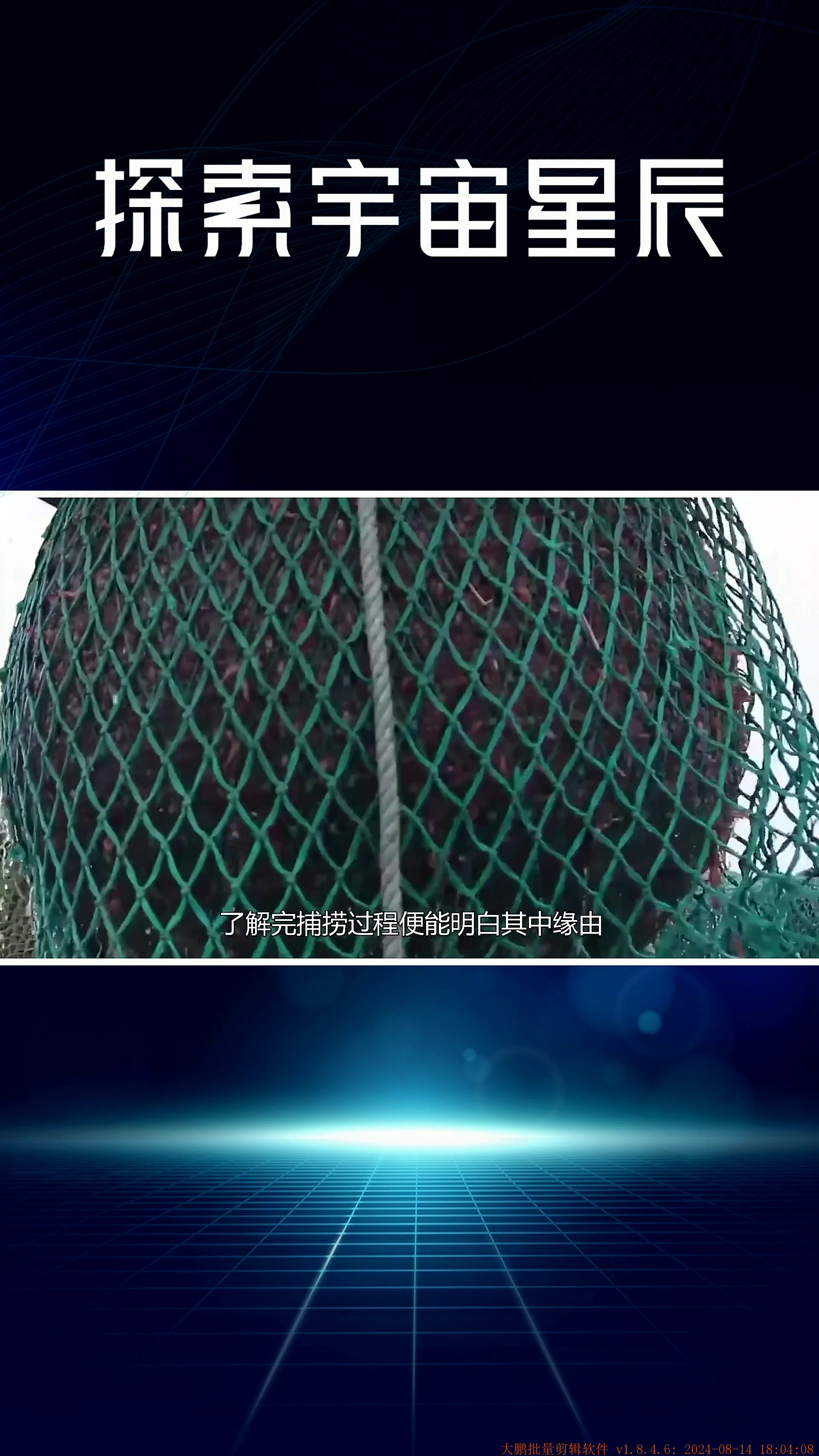 北极虾捕捞上船后,为何要立马进行加工,看完涨知识了