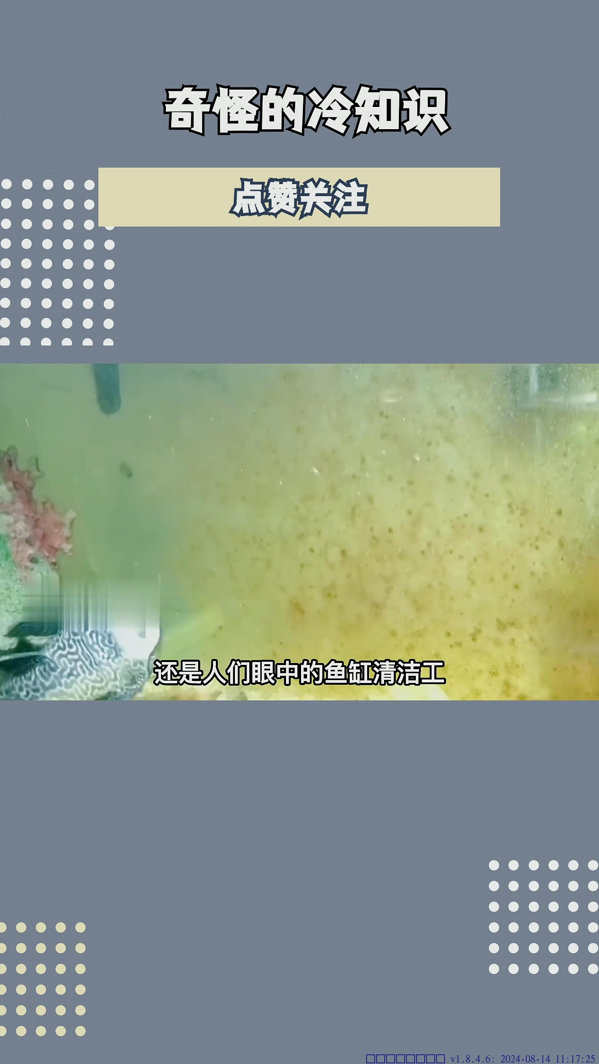 放生清道夫到底有什么危害,可能会对原生鱼种造成毁灭性的打击