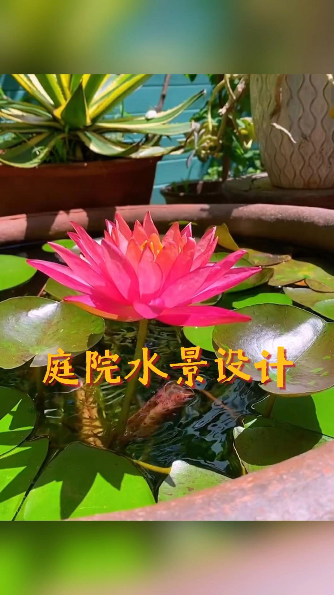 庭院水景设计是花园的灵魂