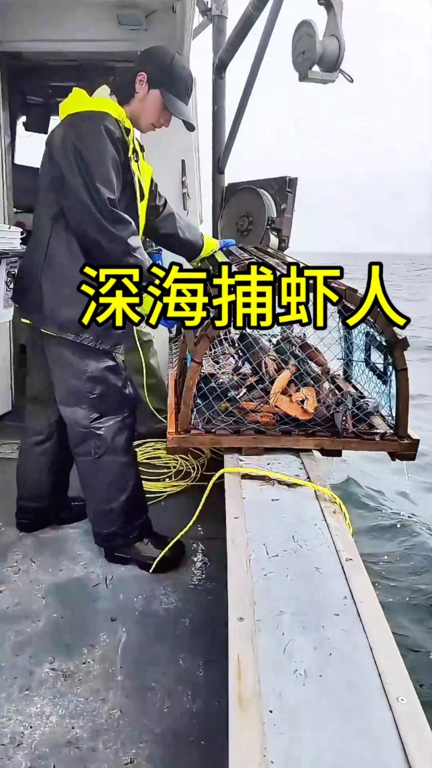 深海捕虾人,一次一笼大龙虾!