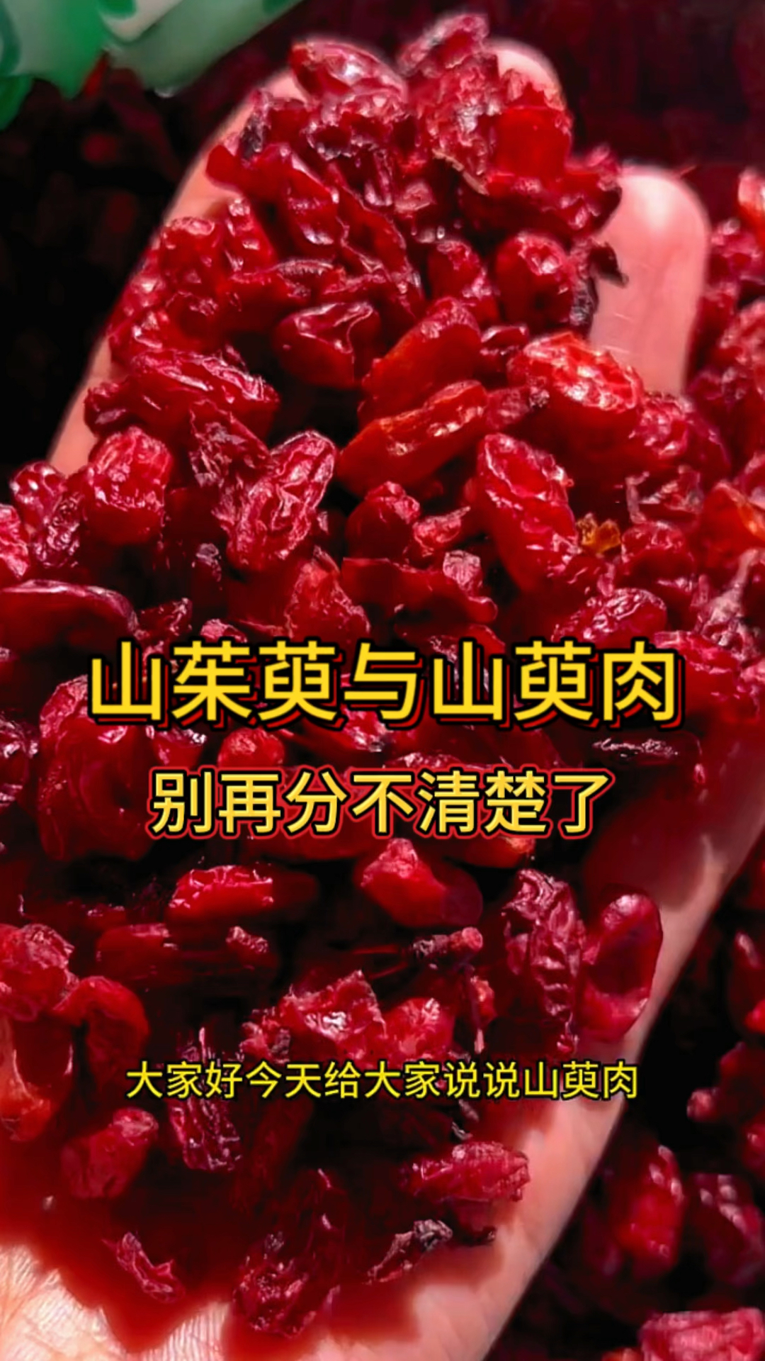 山茱萸与山萸肉,别在傻傻的分不清楚了