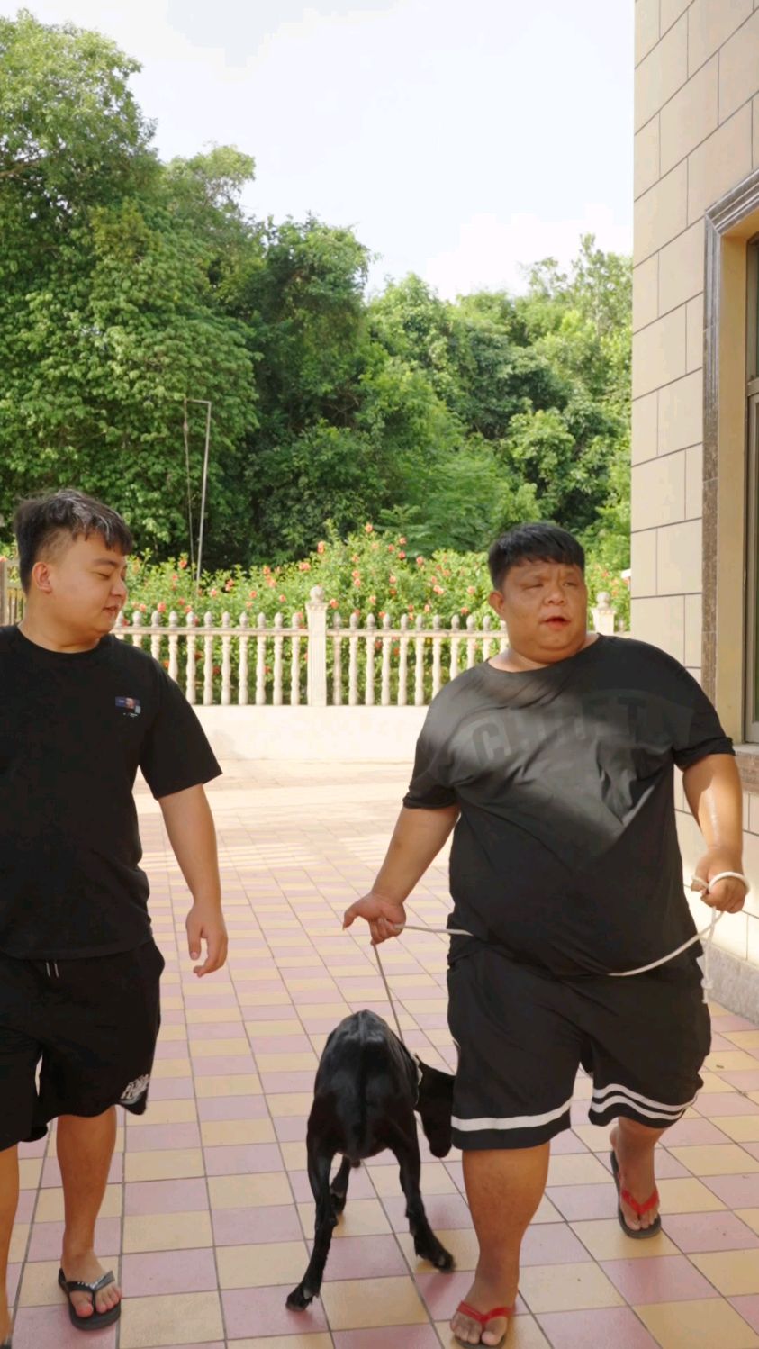 今天三兄弟搞了一头羊和鸡招待来做客的粉丝,红烧羊肉好吃!