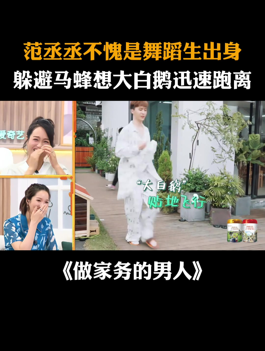 范丞丞不愧是舞蹈生出身,躲避马蜂想大白鹅迅速跑离丨家务