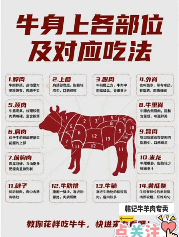 牛身上的各部位的对应吃法你知道吗?一条视频吃懂牛!