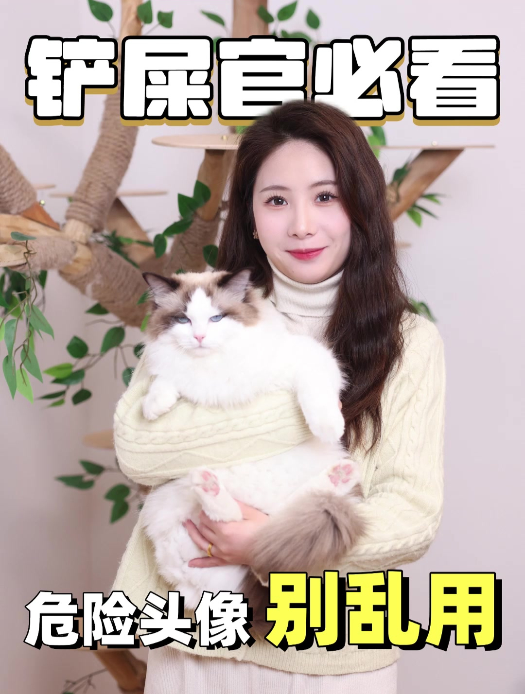 危险头像 猫咪头像最好别用