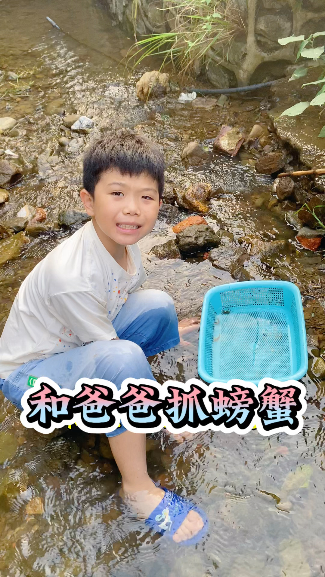带孩子们去小溪里抓了小螃蟹,把他们开心坏了