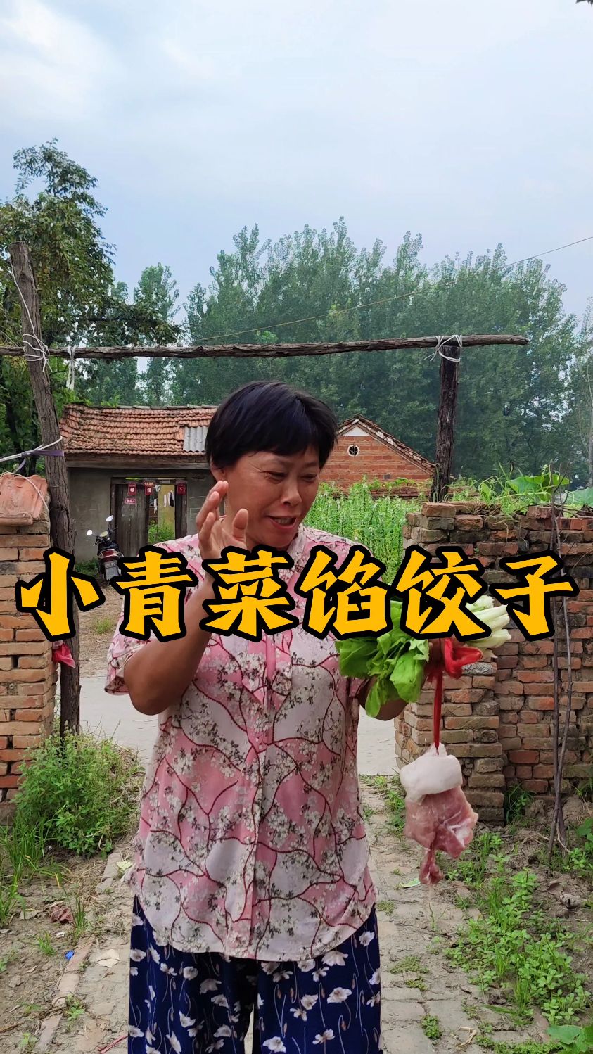 这小青菜素饺子,味道鲜美,营养又好吃