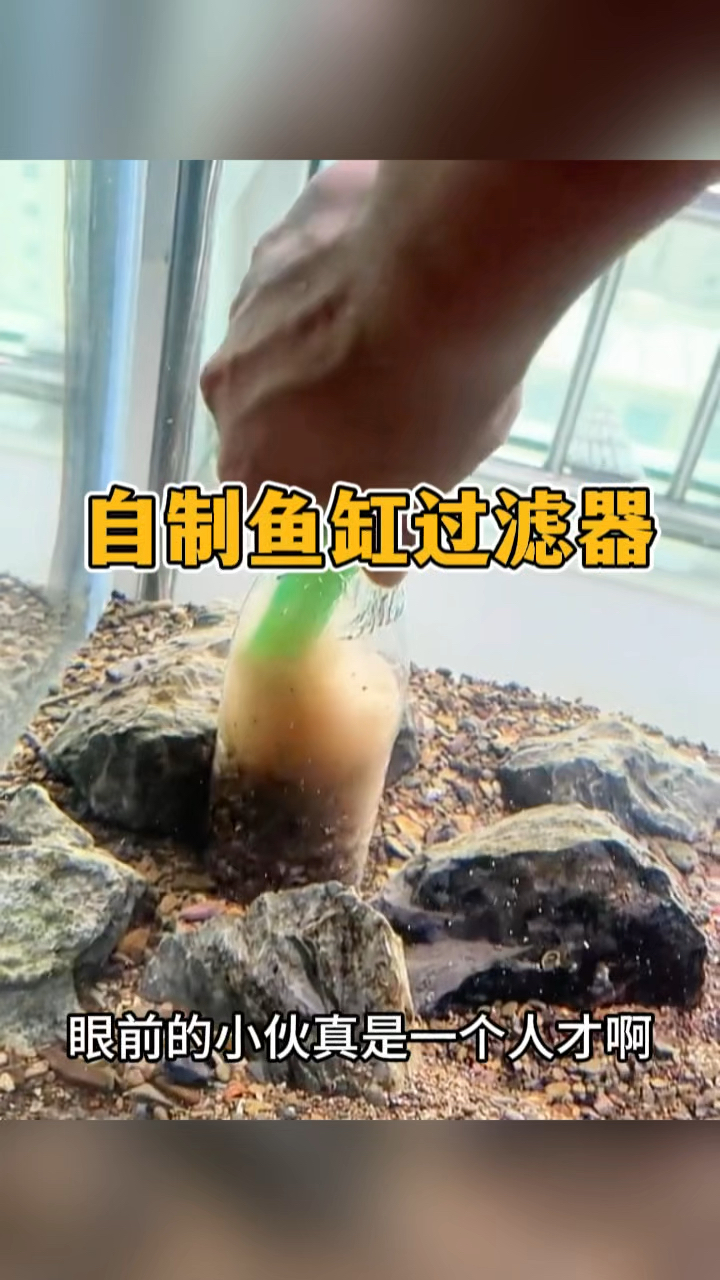 自制鱼缸过滤器,效果真不错