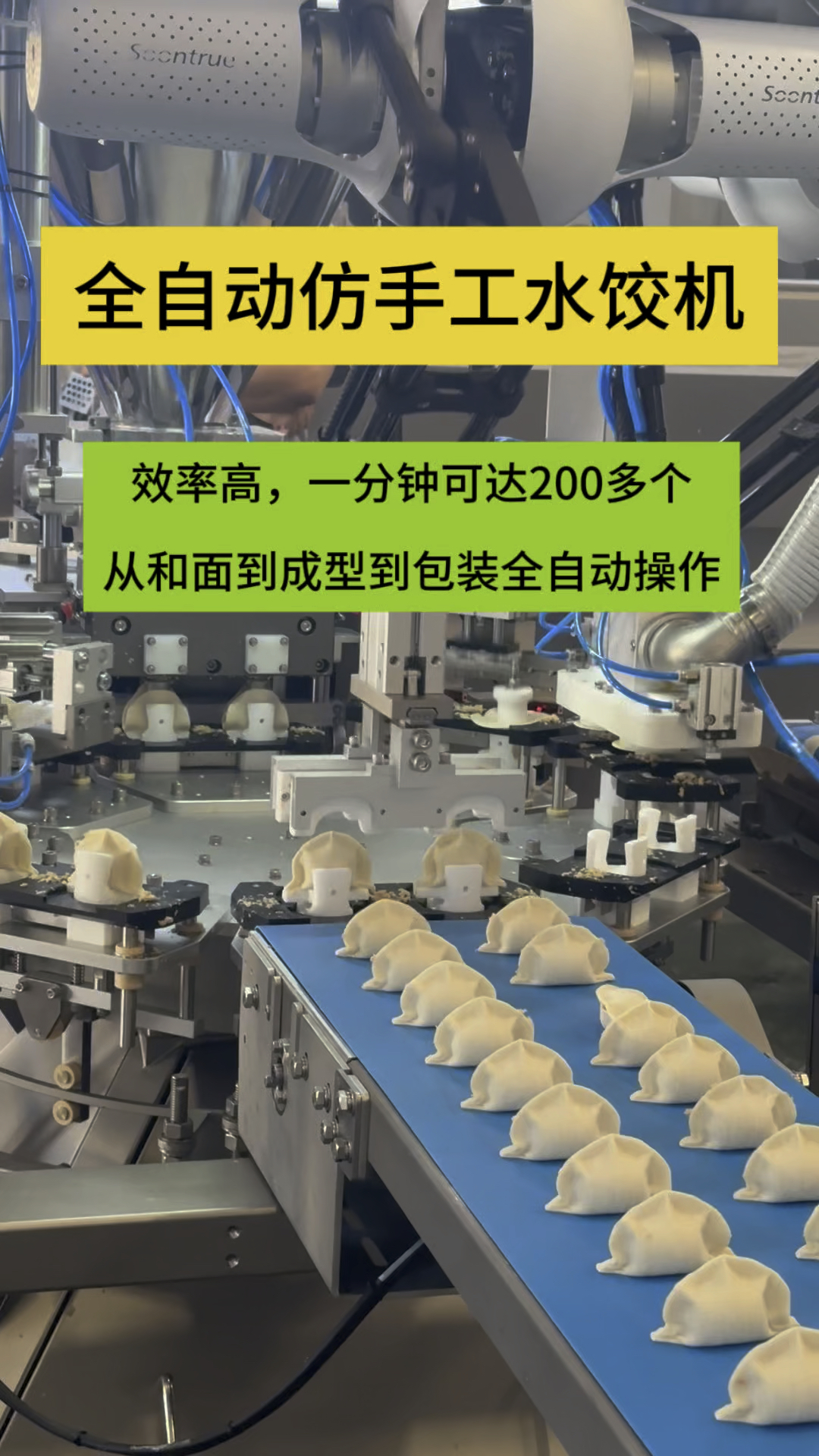 全自动仿手工水饺机,速度快,一分钟可达200多个饺子