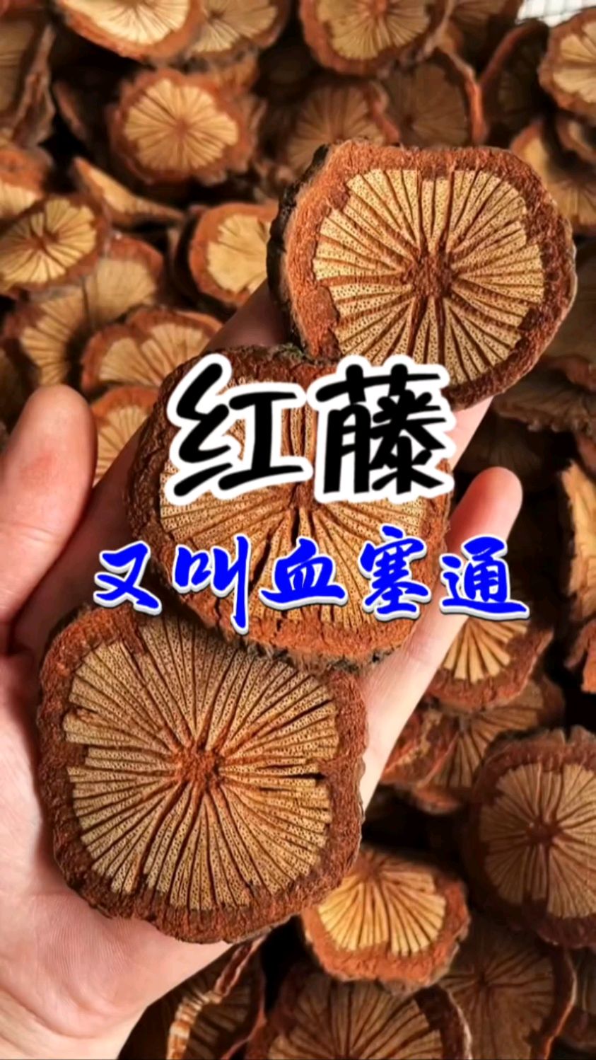 红藤又叫大血藤也叫血塞通