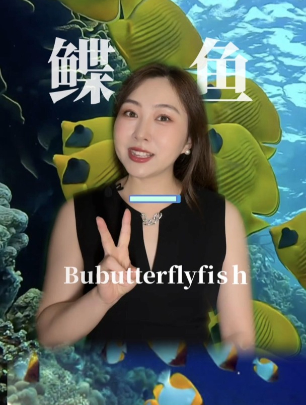 鲽鱼最全讲解第一期 海南鲽鱼可以买吗?鲽鱼吃珊瑚?鲽鱼开口?