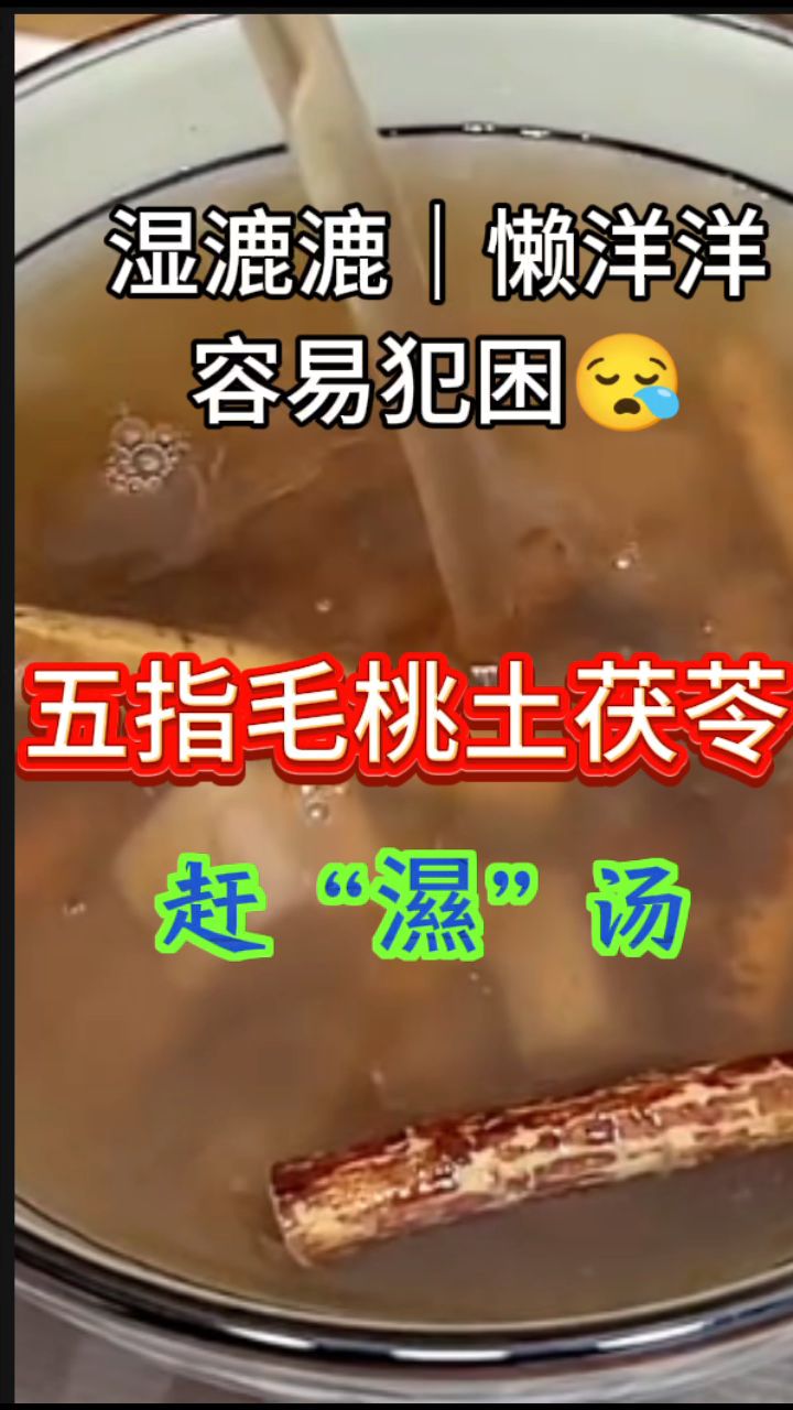 广东人常煲的「五指毛桃土茯苓」汤