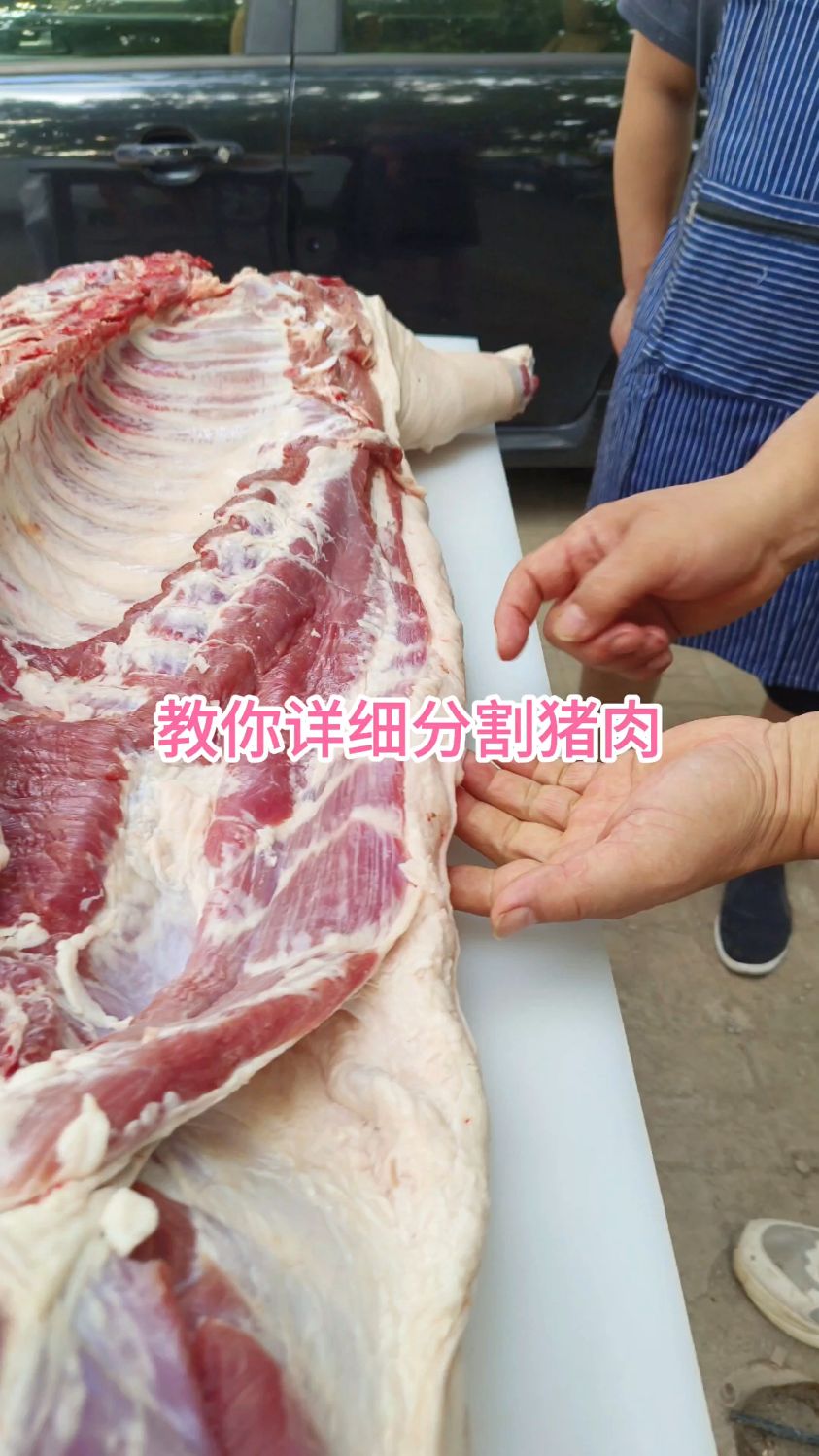 教你详细分割猪肉