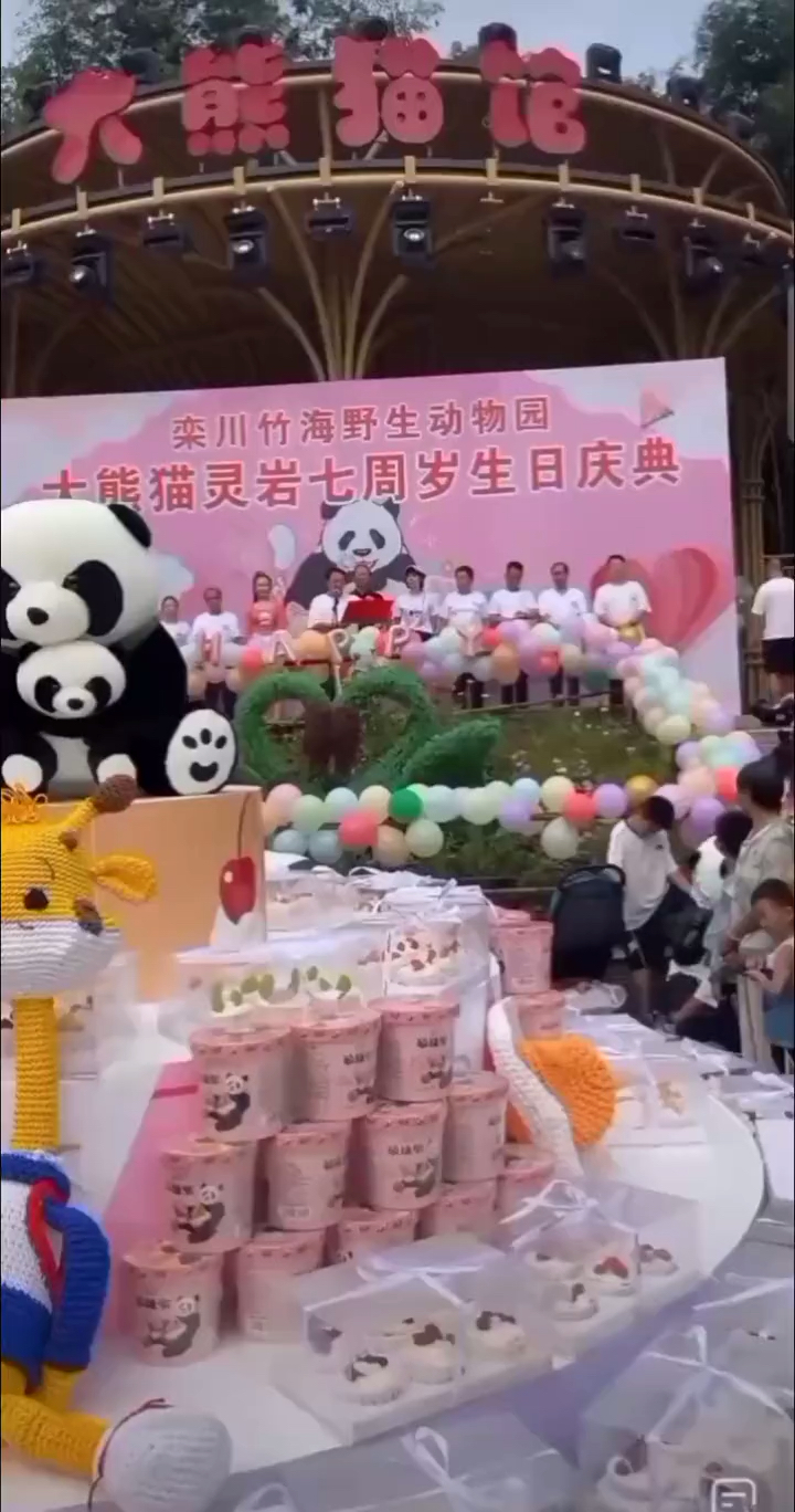 大熊猫灵岩七岁生日 现场派发蛋糕