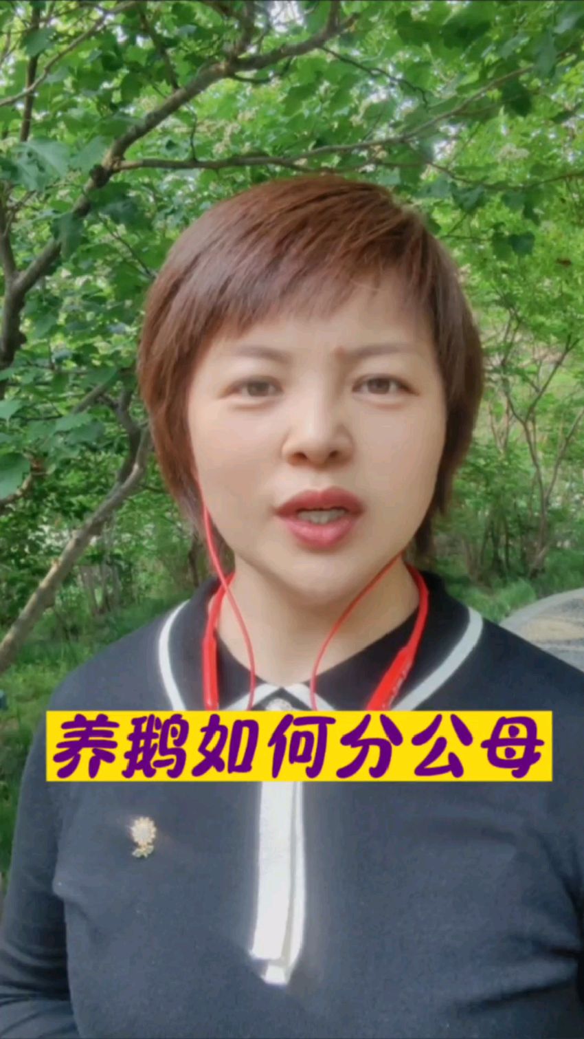 #养鹅你分公母吗#养鹅人必看