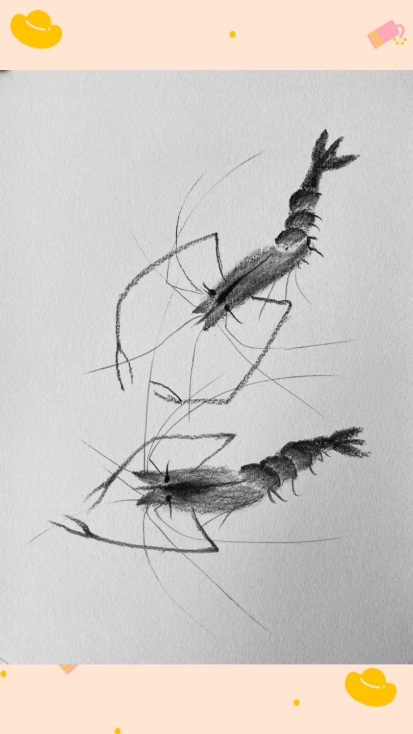 简笔画:简单画小虾