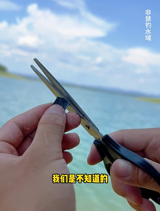 夏天钓鲢鳙正确调漂方法,老钓友详细演示!