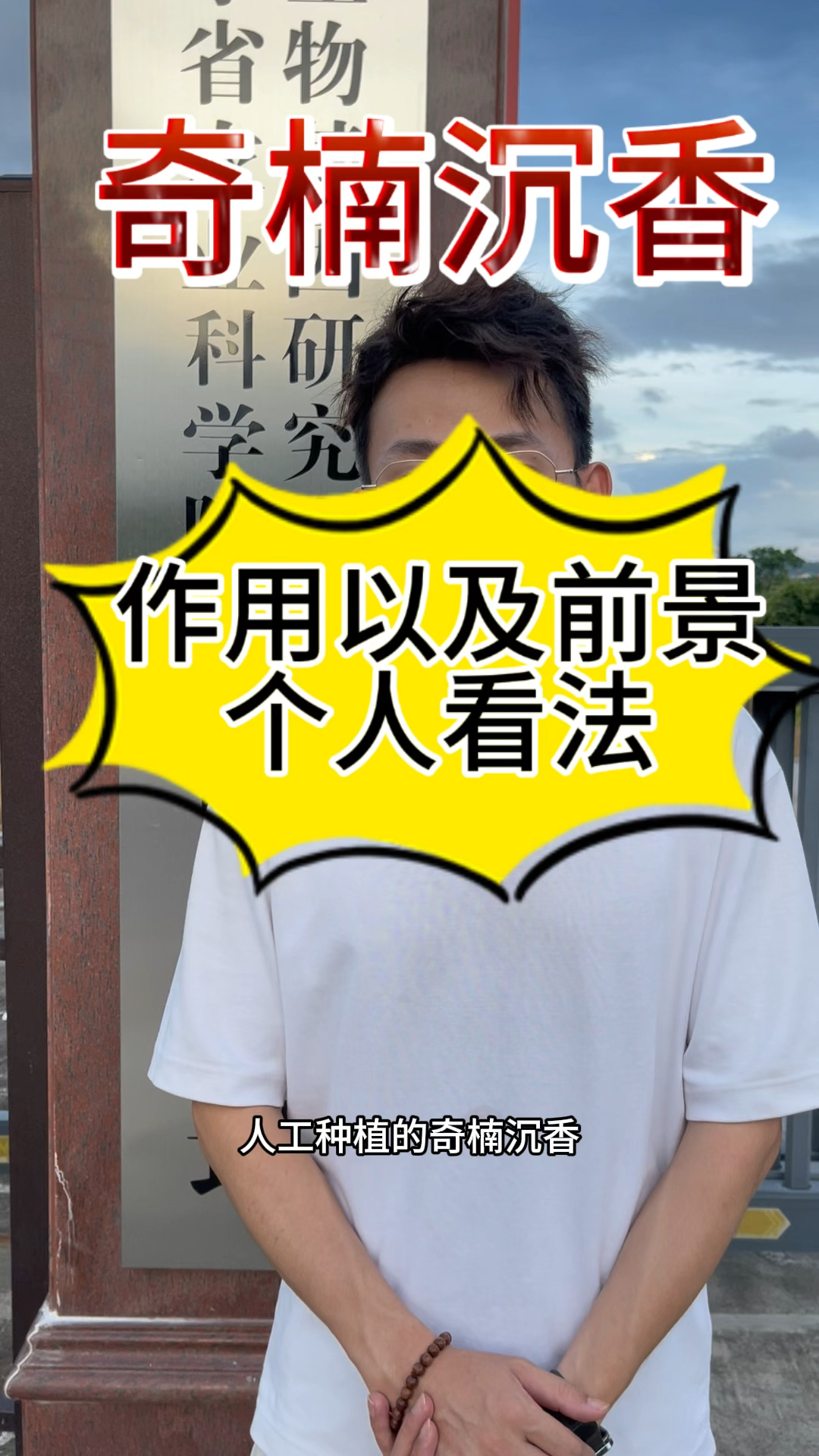 奇楠沉香的作用与市场分析