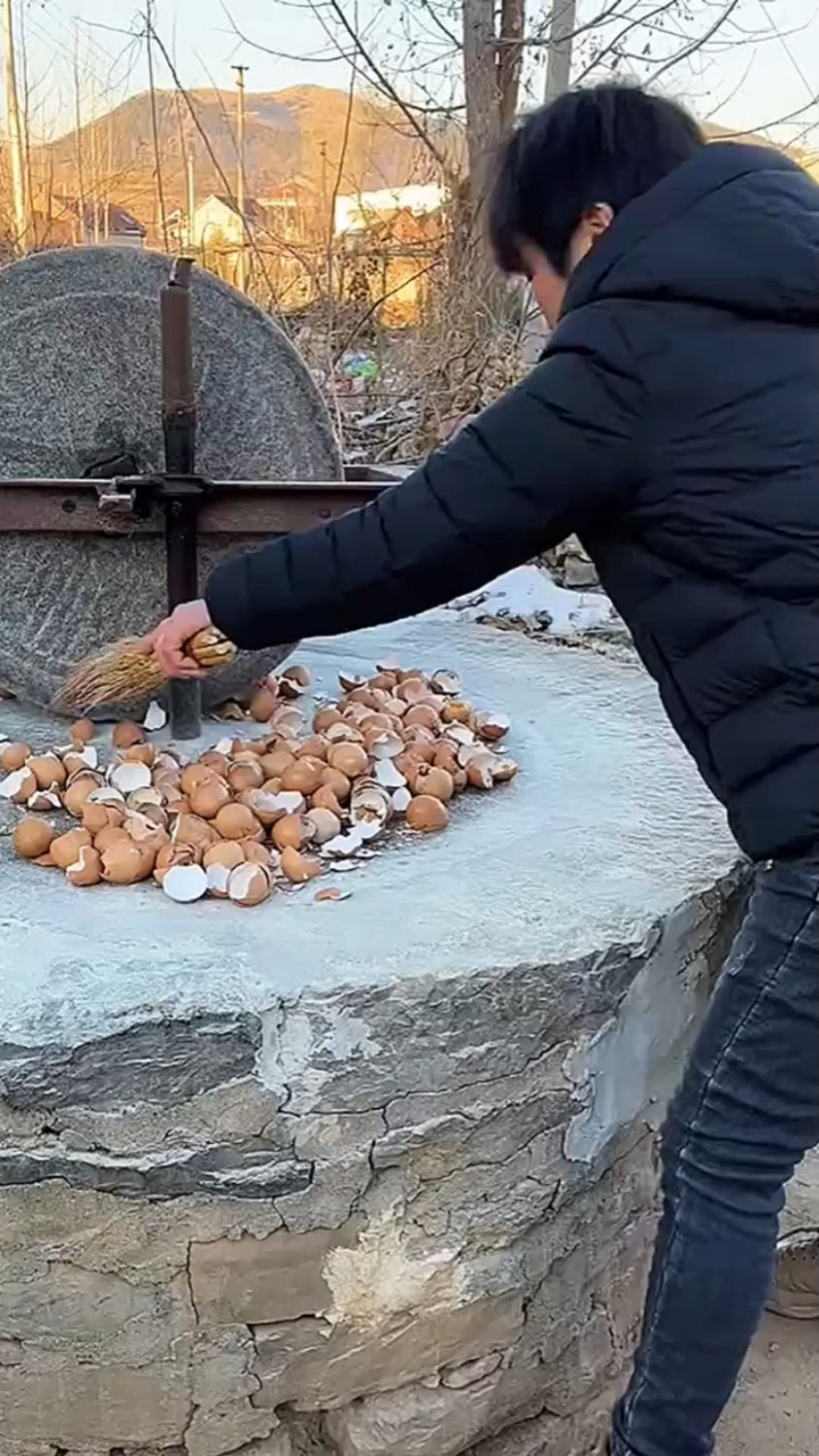 把鸡蛋壳碾碎是干什么用那?